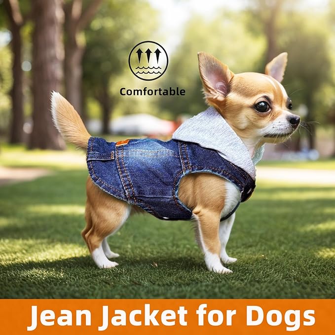 Dog Jeans Jacket with Hooded Denim Pet Coat for Puppy Small Dogs Classic Overalls Male Cat Costumes Washed Vest Clothes Outfit T-Shirts(Hoodie Medium)