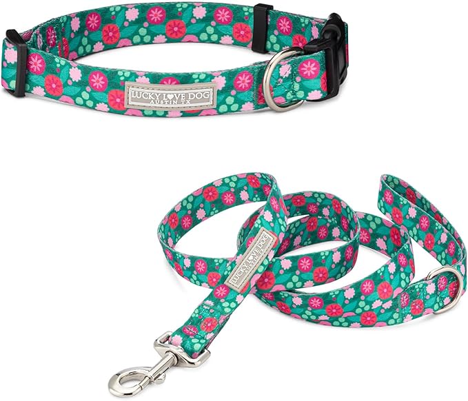 Lucky Love Dog Combo Set, Big Dog Collar & Leash Set for Large Dogs, Colorful Matching Collar and Leash Set for Girl or Boy Dogs, Stripes, Penny Combo, Large