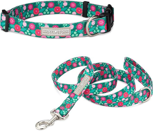 Lucky Love Dog Combo Set, Big Dog Collar & Leash Set for Large Dogs, Colorful Matching Collar and Leash Set for Girl or Boy Dogs, Stripes, Penny Combo, Large
