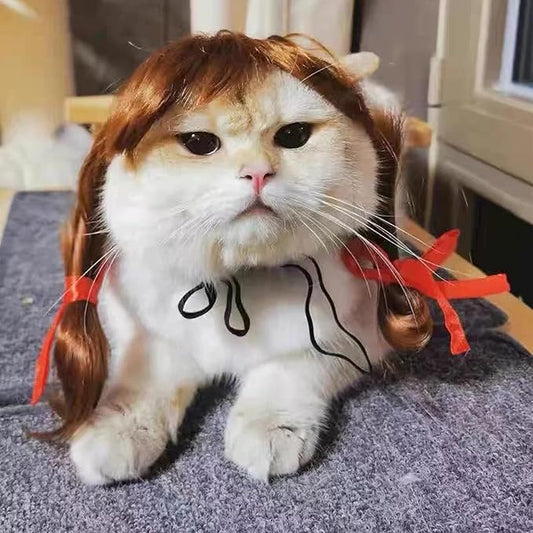 Dog Wig Pet Costumes, Cat Costume Synthetic Accessories Small Dog Headwear for Halloween Christmas Eve Festival Party Decor, Head Wear Apparel Toy (C)