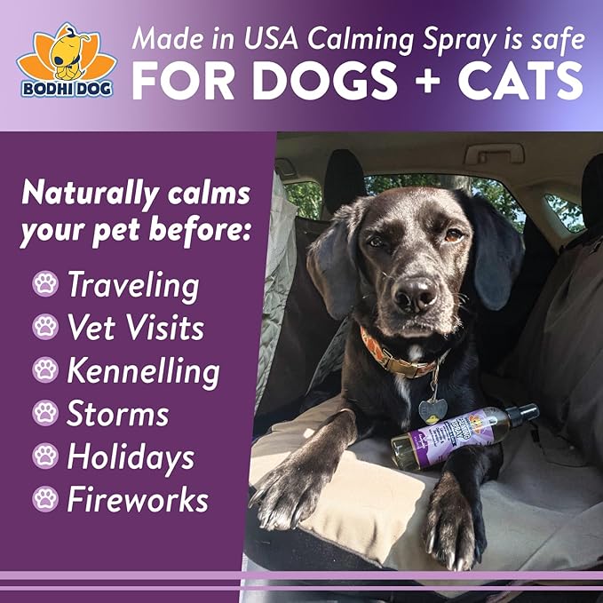Bodhi Dog Natural Calming Spray for Dogs - Relaxation Support for Grooming, Travel, Fireworks & More - Gentle Care for Pets - Made in USA - Calming Lavender Scent (8 Fl Oz)