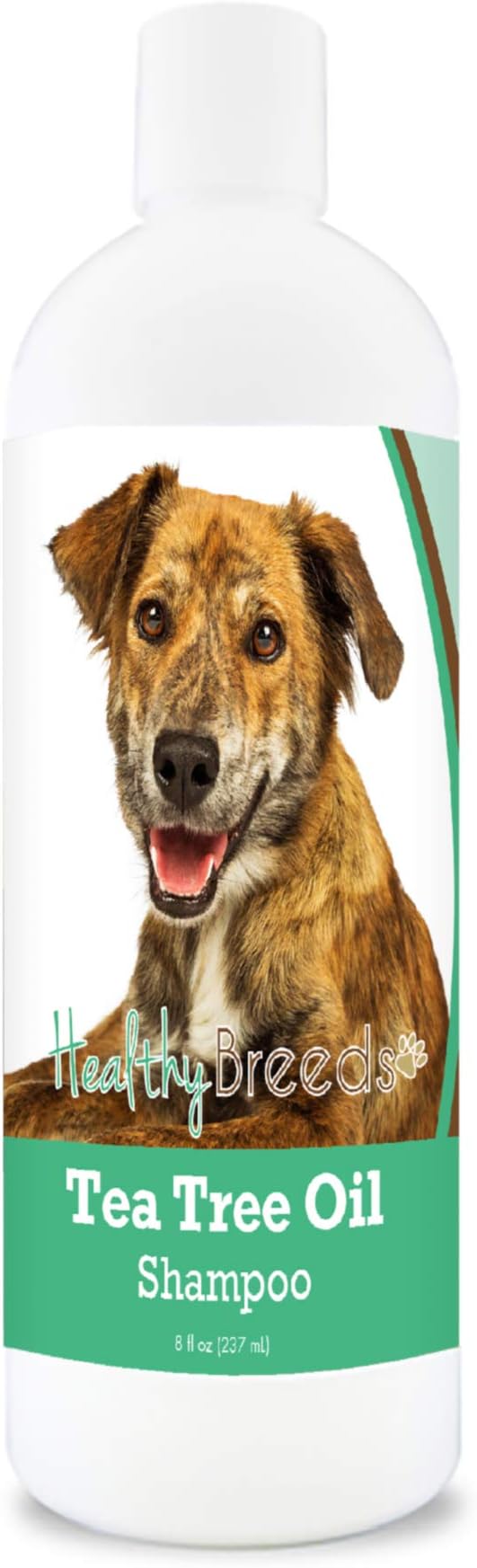 Healthy Breeds Plott Tea Tree Oil Shampoo – Formulated for Dry, Irritated Skin – Reduce Dandruff – Wintergreen Scent – 8 oz