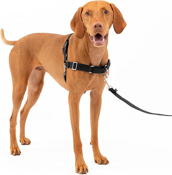 PetSafe Easy Walk No-Pull Dog Harness - The Ultimate Harness to Help Stop Pulling - Take Control & Teach Better Leash Manners - Helps Prevent Pets Pulling on Walks, Medium, Black/Silver