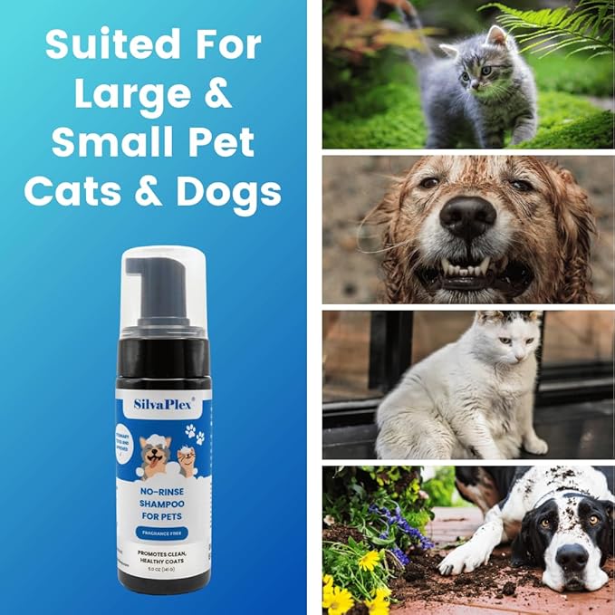 No Rinse Deodorizing Dry Pet Shampoo Plus Conditioner Foam for Dogs and Cats, Waterless Cleanse Enhanced with AG21 Chitosan-Silver Natural Coat Refresh, 5 Oz
