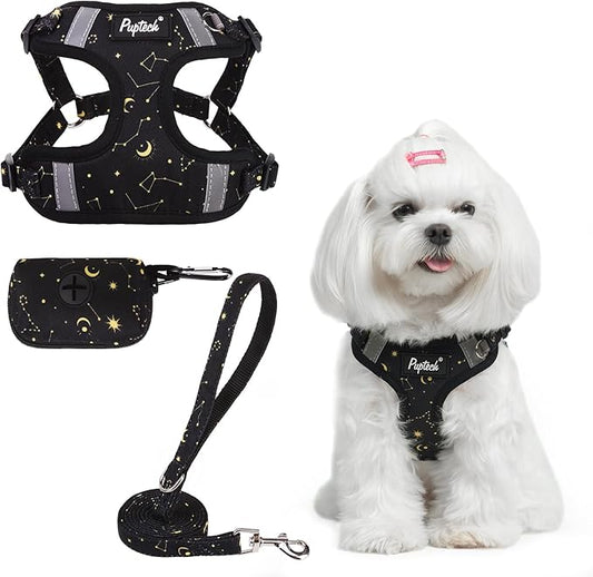 PUPTECK No Pull Dog Harness and Leash Set Reflective No Choke Step in Puppy Halter for XS Small and Medium Sized Dogs, Black, Printed Fabric, XS