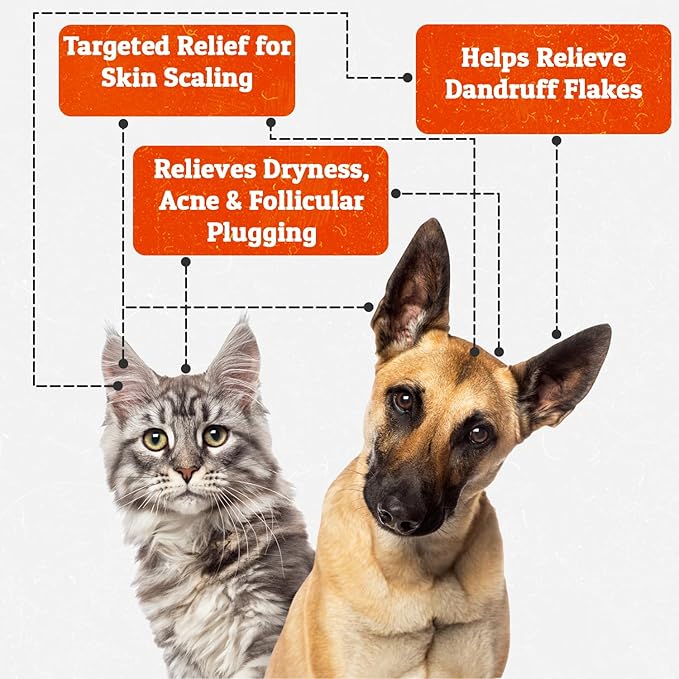 Truseb | Benzoyl Peroxide Shampoo for Dogs,Cats and Horses (Benzoyl Peroxide Shampoo, 12 oz)