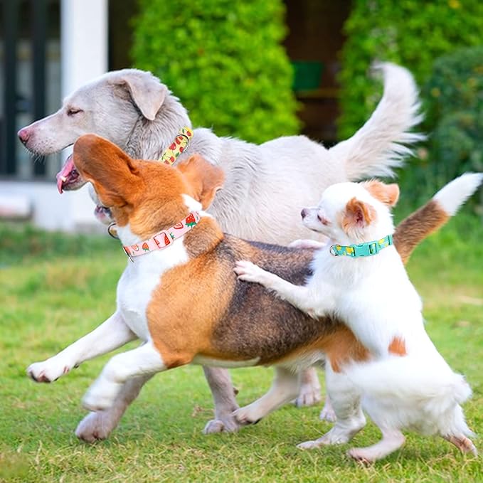 azuza 3 Pack Fruit Design Dog Collars Comfortable and Adjustable Nylon Dog Collars for Puppy Small Dogs, XS (8-12inch)，Strawberry，Lemon and Cherry