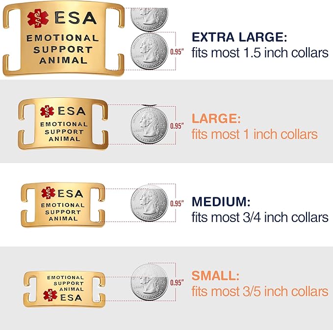 No Noise Stainless Steel K9 ESA Dog Tags, Slide on Dog Collar or Harness Quickly and Securely – Stainless Steel/Large