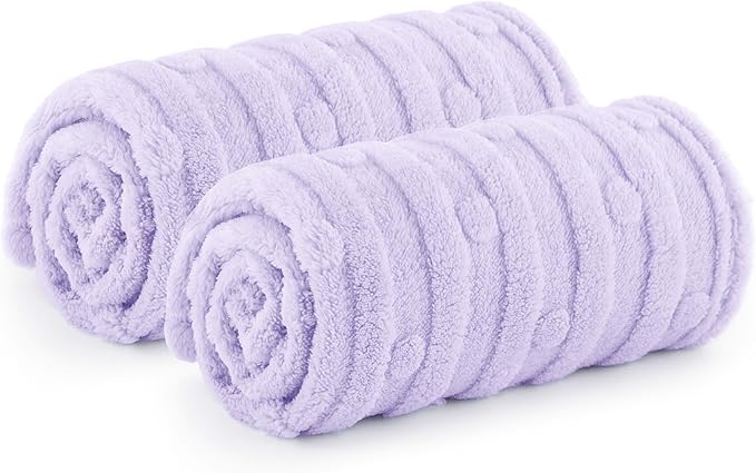 Bedsure 1 Pack 2 Dog Blankets for Small Dogs - 2pcs Washable Soft Fluffy Puppy Blanket with Premium 300GSM Coral Fleece, Cozy Cat Blankets for Indoor Cats, Fuzzy Pet Blanket for Kitten Doggy, Purple