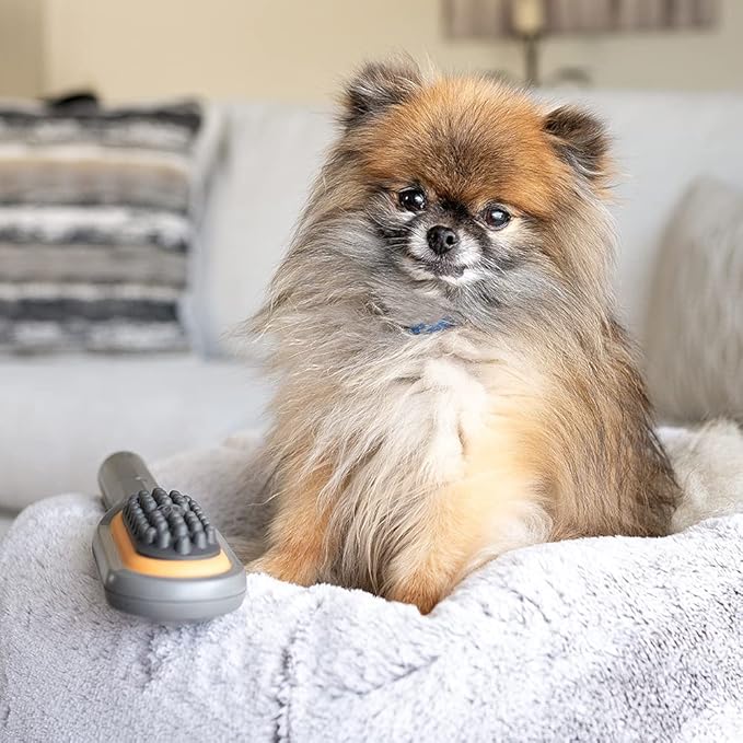 Buzz Therapeutic Brush Vibration Pet Massager for Dogs and Cats Designed to Help Soothe Tension, Increase Circulation and Relieve Tight Muscles