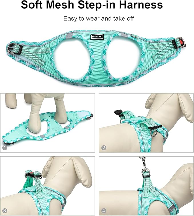 Mercano Soft Mesh Dog Harness and Leash Set, No-Chock Step-in Reflective Breathable Lightweight Easy Walk Escape Proof Vest Harnesses with Safety Buckle for Small Medium Dogs, Cats (Light Green, XXS)