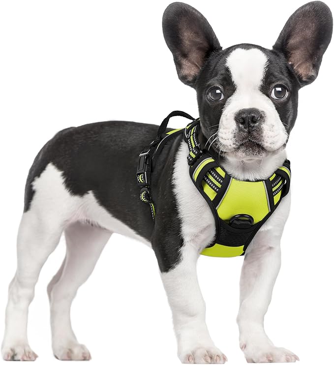 rabbitgoo Dog Harness, No-Pull Pet Harness with 2 Leash Clips, Adjustable Soft Padded Dog Vest, Reflective No-Choke Pet Oxford Vest with Easy Control Handle for Small Dogs, Wild Lime,S