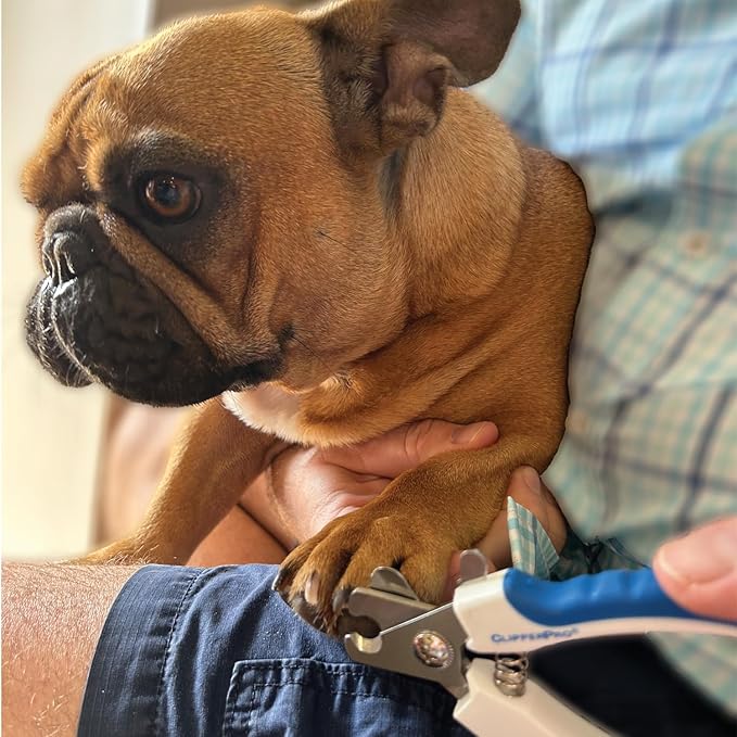 Azurro ClipperPro® Dog & Cat Pets Nail Clippers and Trimmers - Professional Pet Nail Clipper & Trimmers with Safety Guard to Avoid Over Cutting - Professional Grooming Tool for Pets