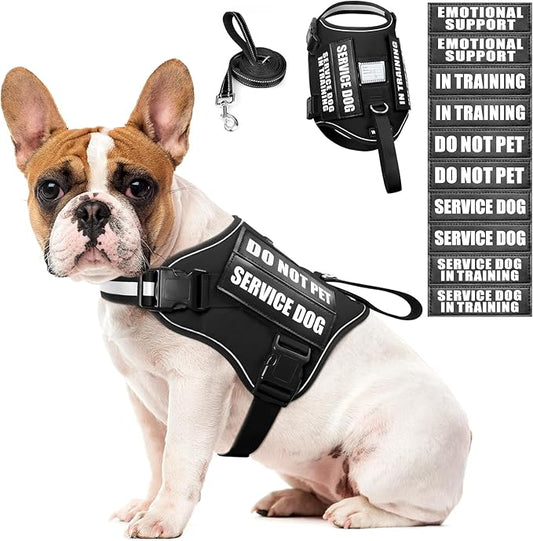 WINSEE Dog Harness & Leash Set, Medium, Black - Reflective, Adjustable, W/ 10 Patches for Service, Therapy Dogs, Extra Durable
