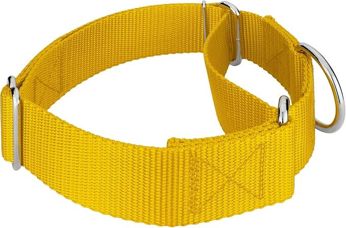 Country Brook Petz 1 1/2 Inch Martingale Heavy Duty Nylon Adjustable Dog Collar for Small, Medium, Large Breeds - Vibrant 17 Color Selection (Gold, Extra Large)