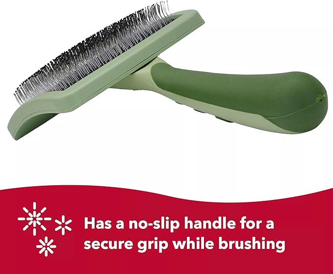 Coastal Dog Slicker Brush, Green - Grooming Brush for Dogs of All Hair Types, Pet Brush for Shedding - Curved Design for Easy Detangling - Non-Slip Handle, 6.75'' x 4.25''