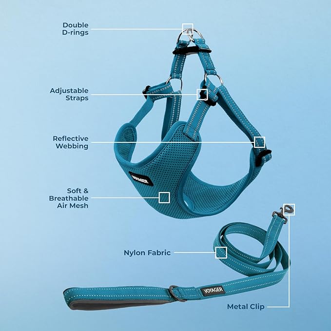 Best Pet Supplies Voyager Adjustable Dog Harness Leash Set with Reflective Stripes for Walking Heavy-Duty Full Body No Pull Vest with Leash D-Ring, Breathable All-Weather - Harness (Turquoise), S