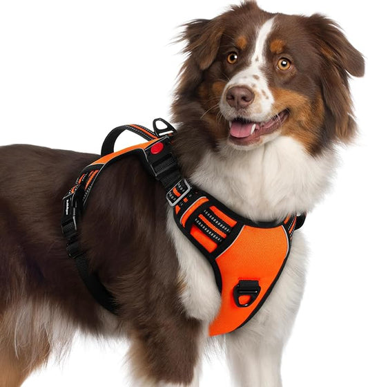 rabbitgoo Dog Harness Medium Sized, No Pull Pet Harness with Soft Padded Handle, Adjustable Reflective Vest with 3 Buckles, Easy Walking Harness with 2 Leash Clips, Orange, XL