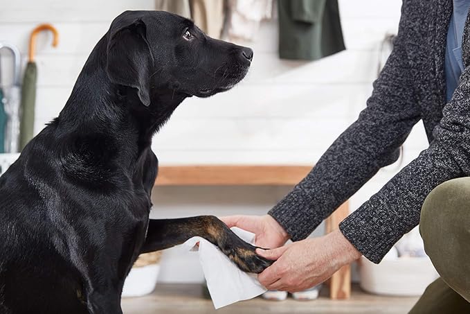 The Spruce Waterless Pet Wash, No Rinse Moisturizing Shampoo for Pets - Daily Pet Care - Cleaning, Cleansing, and Conditioning for Dogs, Puppies, and Cats - 2 oz Travel Size, 3 Pack, Lavender