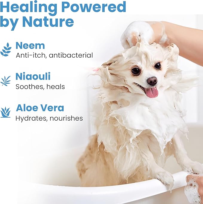 Medicated Organic Dog Shampoo Bar for Hot Spots, Dry Coat, and Allergies, All Natural Dog Shampoo with Neem, Aloe, and ACV, Eco-Friendly, Vet Recommended, 1 Bar for Sensitive Skin Relief