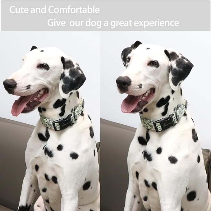 ARING PET Dinosaur Dog Collar-Cute Dog Collar for Small Dogs, Adjustable Comfortable Cotton Boy Dog Collars for Small Medium Large Dogs, Medium