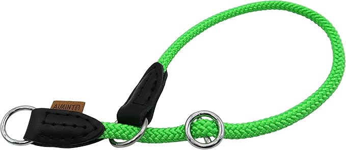 Braided Rope Collar, Pro Training Dog Collar, No Pull Round Martingale Collar, Slip Collar with Slidable Stop Ring - Ideal for Extra Small Dogs (XS (1/4") - 14" Long, Light Green)