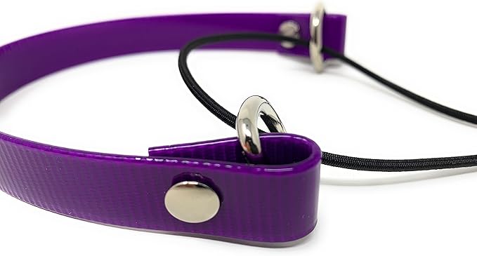 Sparky Pet Co - ECollar Replacement Strap - Bungee Dog Collar - Waterproof - Adjustable - Secure Nexus Wheel Lock - for Electronic Training & Invisible Fence Systems - 3/4" (Purple)