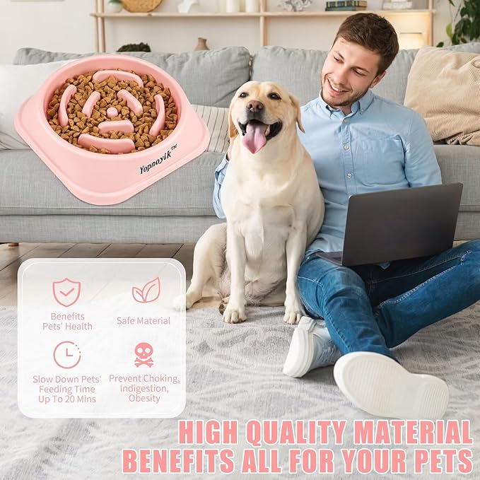Slow Feeder Dog Bowls for Healthy Eating, Non-Slip and Anti-Choking Design, Reduces Bloating & Overeating for Small & Medium Dogs and Cats, Easy to Clean
