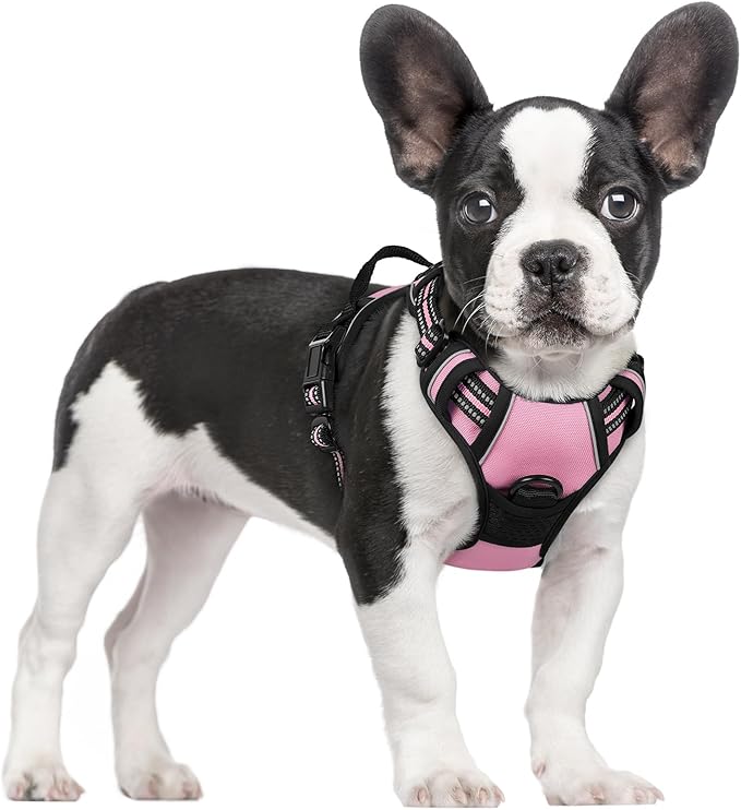 rabbitgoo Dog Harness, No-Pull Pet Harness with 2 Leash Clips, Adjustable Soft Padded Dog Vest, Reflective No-Choke Pet Oxford Vest with Easy Control Handle for Small Dogs, Pink, S
