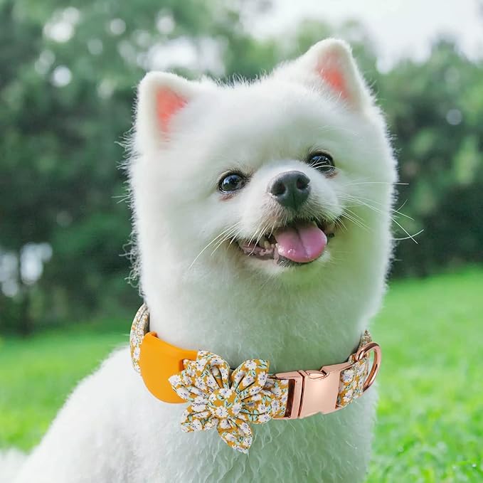 Airtag Dog Collar Holder，Anti-Lost Silicone Case Accessories for Air Tag GPS Tracking，Compatible with Dogs Cats Pets Collar (1 Pack, Yellow)