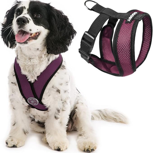 Gooby Comfort X Head In Harness - Purple, X-Large - No Pull Small Dog Harness Patented Choke-Free X Frame - Perfect on the Go Dog Harness for Medium Dogs No Pull, Small Dogs for Indoor and Outdoor Use