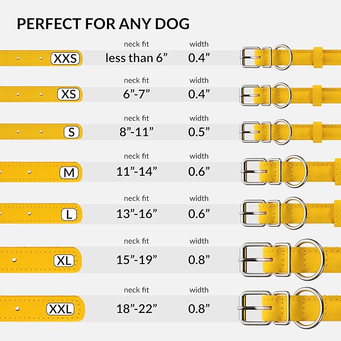 CollarDirect Rolled Leather Dog Collar, Soft Padded Round Puppy Collar, Handmade Genuine Leather Collar Dog Small Large Cat Collars 13 Colors (8-11 Inch, Yellow Smooth)