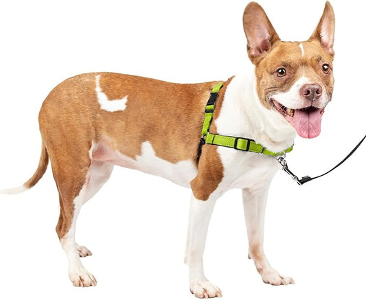 PetSafe Easy Walk Deluxe Dog Harness, No Pull Dog Harness – Perfect for Leash & Harness Training – Stops Pets from Pulling and Choking on Walks – Medium, Apple