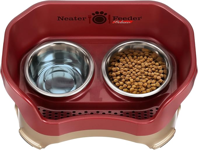 Neater Feeder Deluxe Mess Proof Dog Bowls Elevated Medium Sized Dog Breed – Made in USA – No Spill Raised Dog Food Bowl Stand – Stainless Steel Food and Water Bowl Set, Pet Feeding Station, Cranberry