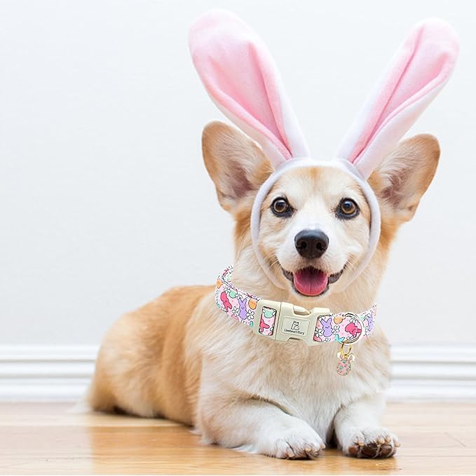 Lionheart glory Easter Dog Collar Colorful Collar for Large Dog Collars Easter Egg Print Dog Collars Spring Female or Male Pet Gift Adjustable Heavy-Duty Holiday Dog Collar Plastic Buckle