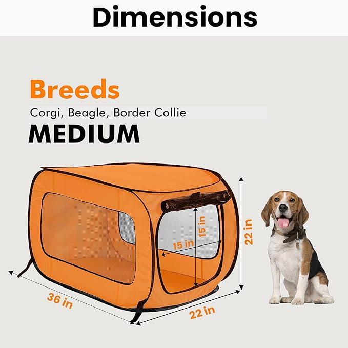 Beatrice Home Fashions Portable, Collapsible, Pop Up Kennel Travel Cat and Dog Crate, 36" L x 22" W x 22" H, Orange