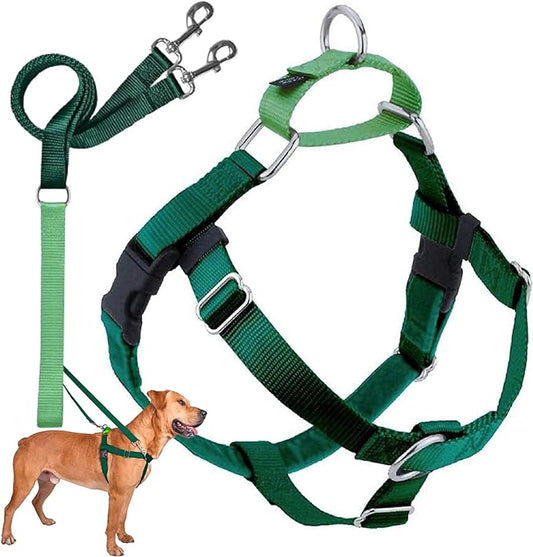 2 Hounds Design Freedom No Pull Dog Harness | Comfortable Control for Easy Walking |Adjustable Dog Harness and Leash Set | Small, Medium & Large Dogs | Made in USA | Solid Colors | 1" MD Kelly Green