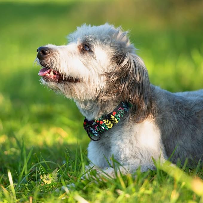 CollarDirect Martingale Collars for Dogs Heavy Duty Floral Pattern Female Safety Nylon Training Wide Collar Flower Design Large Medium (XL, Neck Size 19"-24", Black)