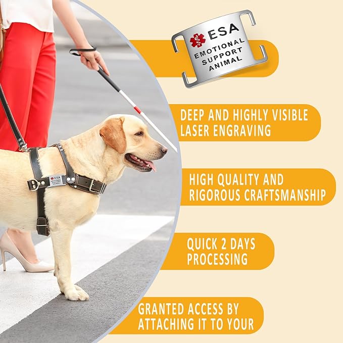 No Noise Stainless Steel K9 ESA Dog Tags, Slide on Dog Collar or Harness Quickly and Securely – Stainless Steel/Large