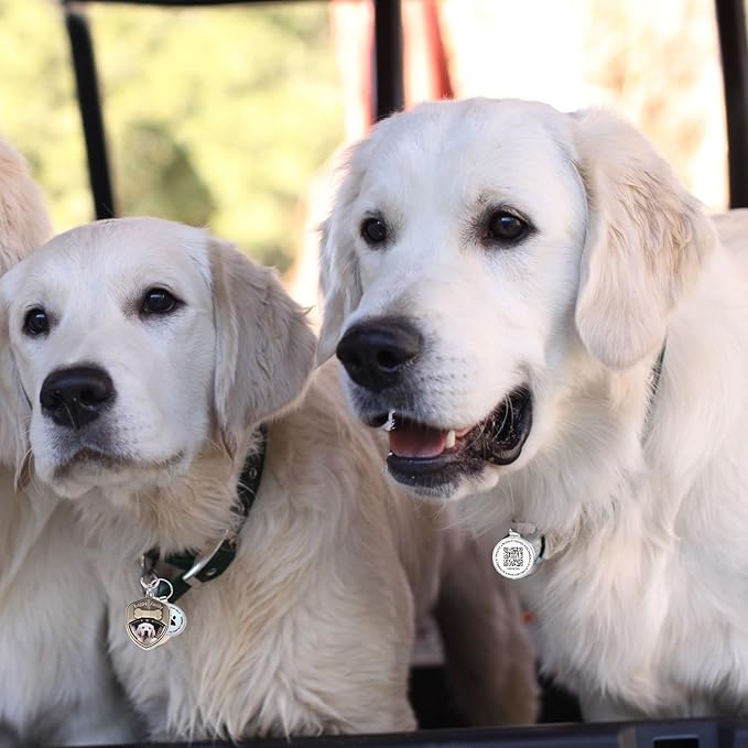 Dog Tags Personalized QR Code Dog Tags, Retro Brass Personalized Pet ID Tags Modifiable Pet Online Profile, Multiple Emergency Contact, (Labrador Retriever-2)