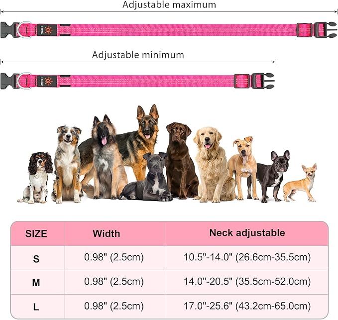 BSEEN Light Up Dog Collars - Glowing LED Dog Collar, Reflective Puppy Collar, Adjustable Lighted Dog Collar, Rechargeable Pet Collar for Night Walking (Pink-II, Large)