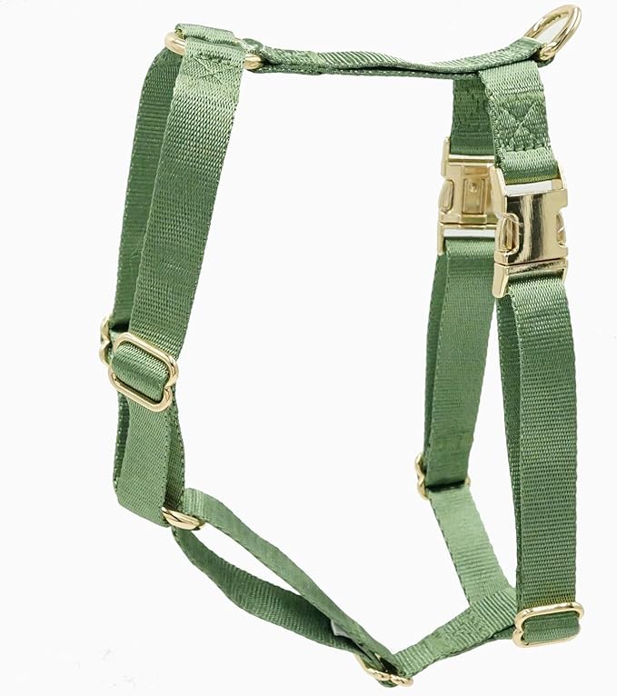 Nylon No Pull Dog Harness with Gold Metal Buckles,Easy Walking and Training Dog Harness (Sage Green, L)