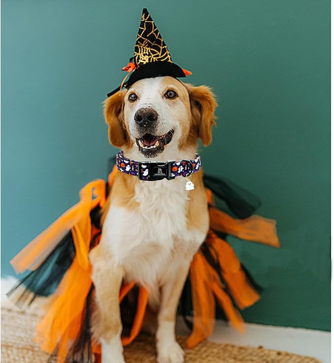 Lionheart glory Dog Collars Fall Halloween Pumpkin Collar Dog Heavy Comfortable Adjustable Dog Collar for Small Collar Dogs Girls or Boys Dog Collar Cute Pet Gift