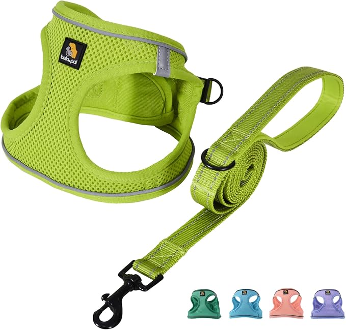 BELLA & PAL Puppy Harness with Leash Set, Dog Harness for Small Dogs No Pull, Dog Leash for Small Dogs, Step in Harness for Extra Small Dogs, Avocado Green Harness, XS