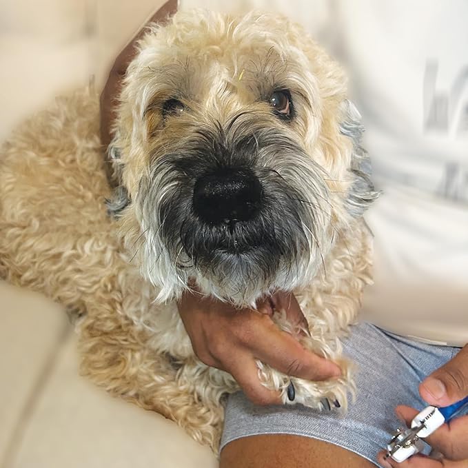 Azurro ClipperPro® Dog & Cat Pets Nail Clippers and Trimmers - Professional Pet Nail Clipper & Trimmers with Safety Guard to Avoid Over Cutting - Professional Grooming Tool for Pets