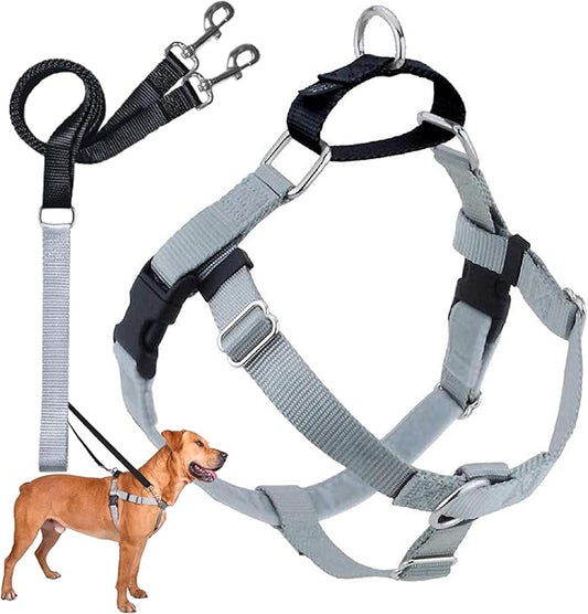 2 Hounds Design Freedom No Pull Dog Harness | Comfortable Control for Easy Walking |Adjustable Dog Harness and Leash Set | Small, Medium & Large Dogs | Made in USA | Solid Colors | 1" LG Silver