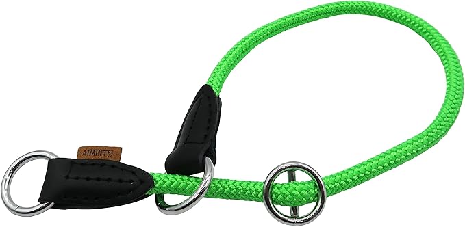 Braided Collar, Pro Training Dog Collar, No Pull Round Collar, Slip Collar with Slidable Stop Ring - Ideal for Small Medium Dogs (M- (1/3") - 18" Long, Light Green)