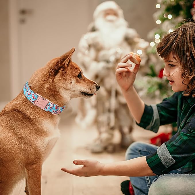 Christmas Dog Collars for Small Dog,Blue Santa Claus Dog Collar with Safety Metal Buckle Adjustable Puppy Collars for Medium Large Dog,Boy&Girl&Male&Female Dog Gift,S-10-16"