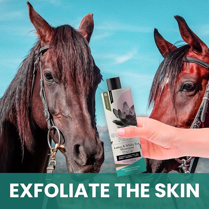 Holistic Natural Derived Lotus and White Tea Pet Shampoo: Veterinarian Recommended - Remove Dirt, Cleanse and Restore Your Dog, Cat or Horse Coat - Made in USA - 16 oz