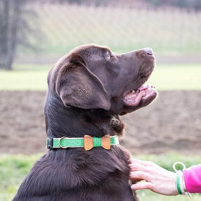 Pettsie Matching Dog Collar Bow Tie, Friendship Bracelet, Durable Hemp for Extra Safety, 2 Easy Adjustable Sizes, Comfortable and Soft for Sensitive Skin, Strong D-Ring for Leash Attachment